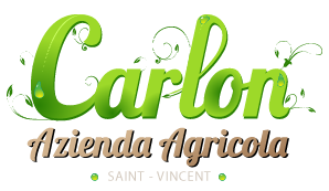 www.aziendacarlon.it